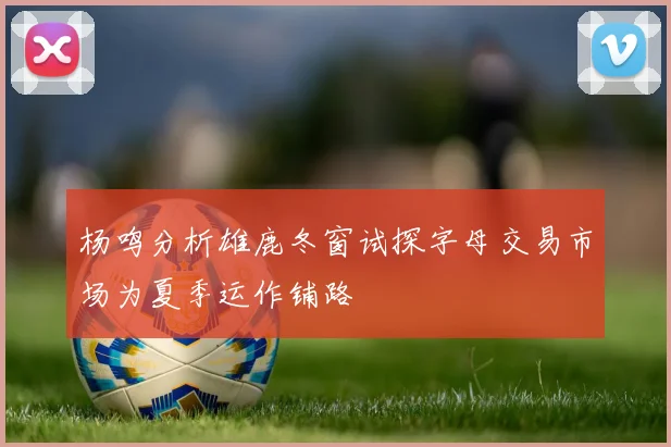 杨鸣分析雄鹿冬窗试探字母交易市场为夏季运作铺路